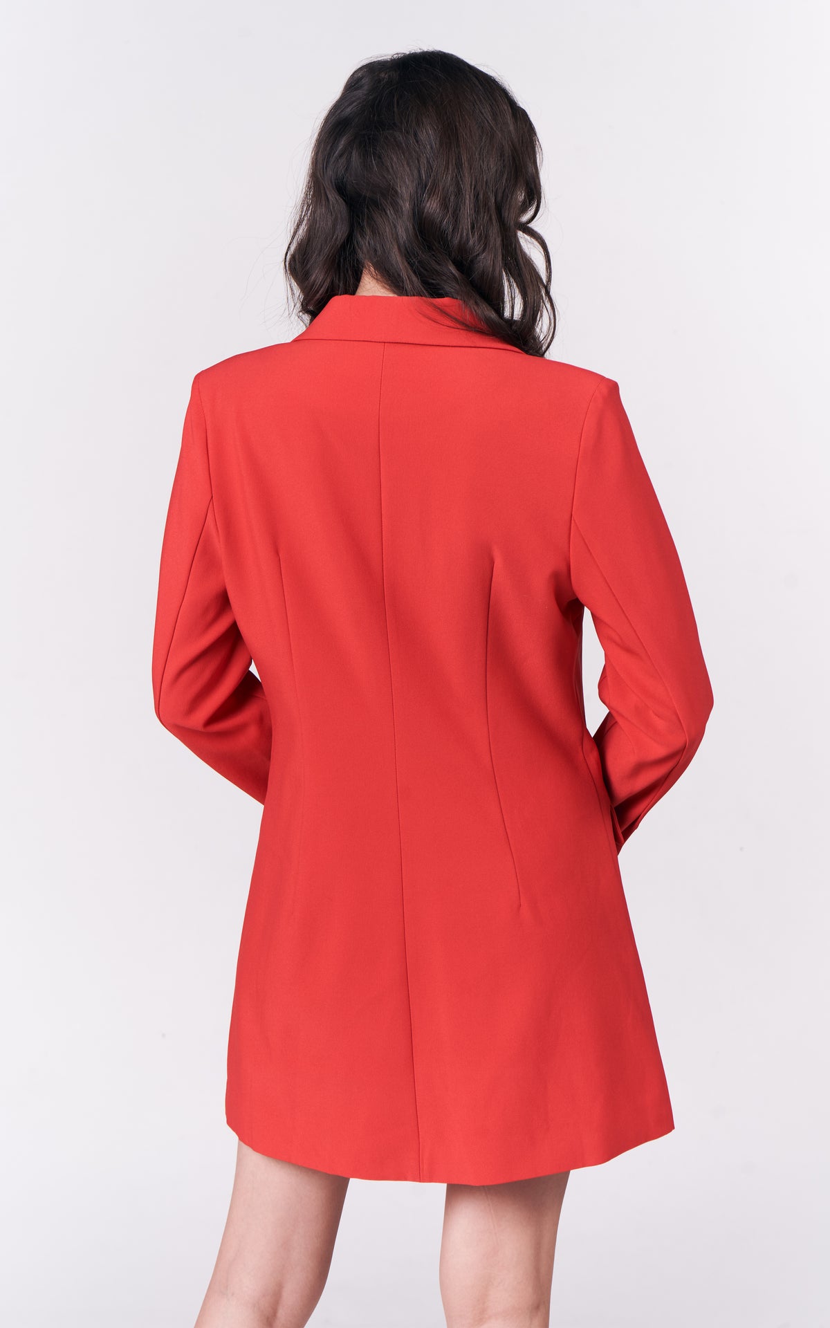 ROSSA CORSA L/S DRESS