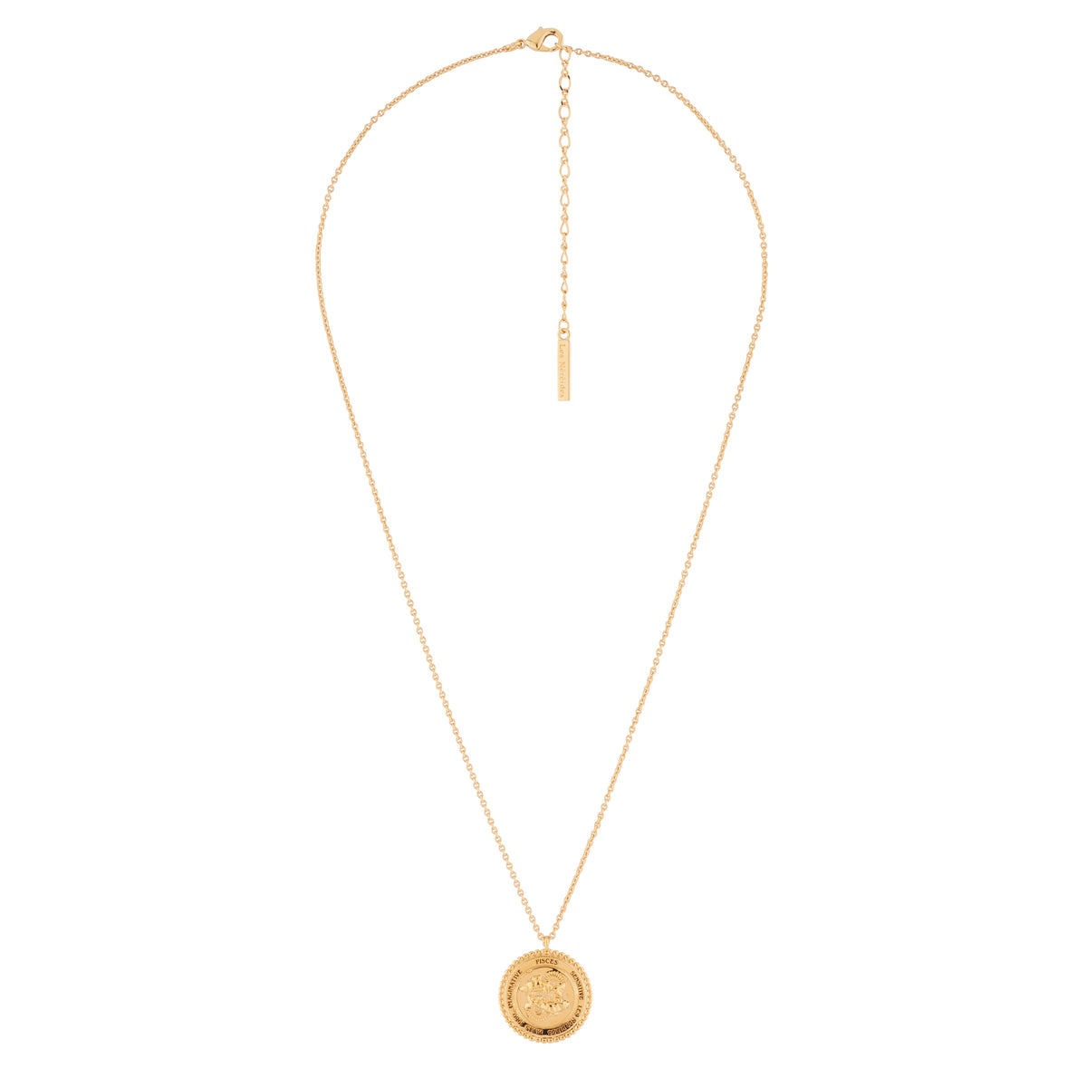 Pendant Pisces Zodiac Sign 42 + 5 cm Necklace CONSTELLATION