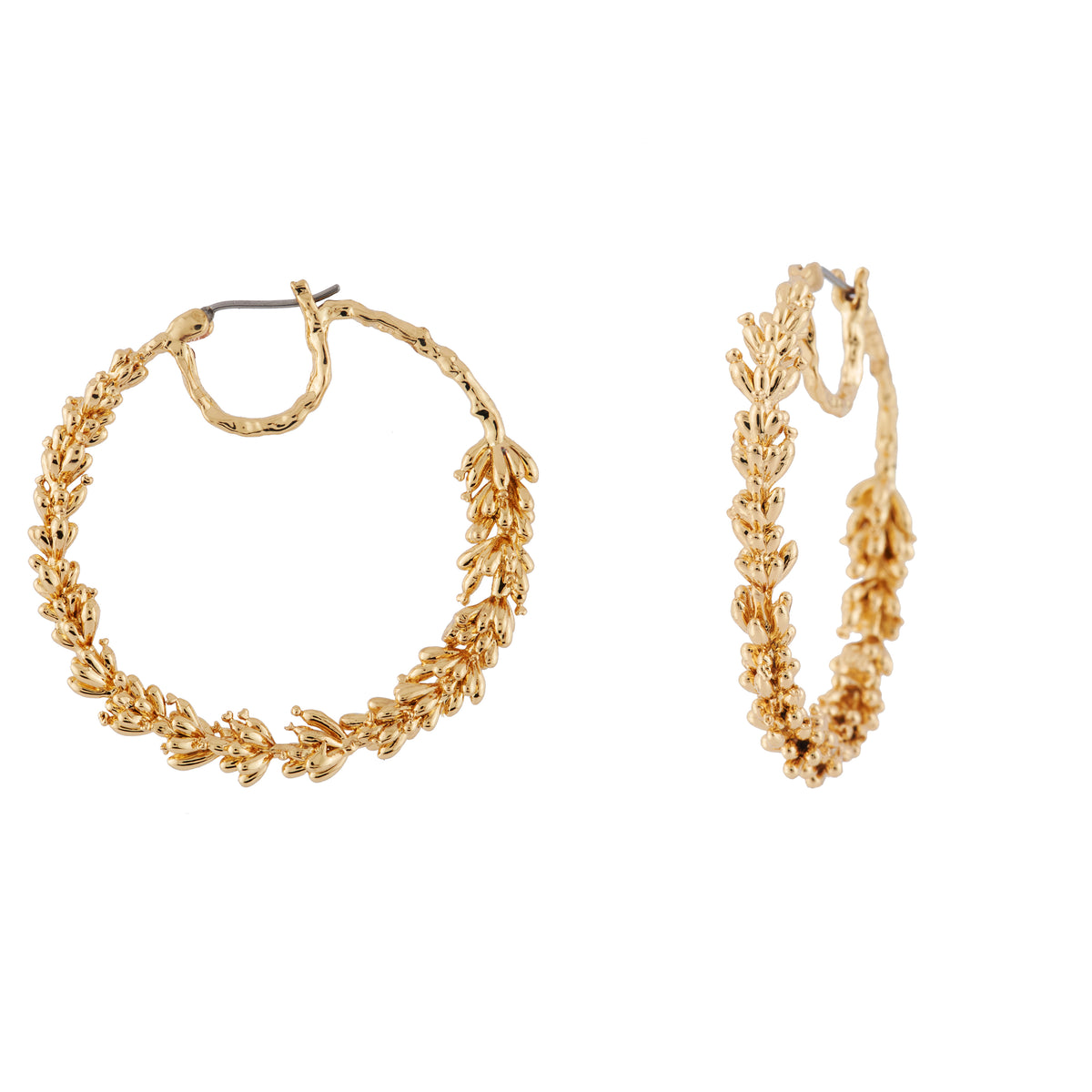 Hoop earrings NATURE FLAMBOYANTE