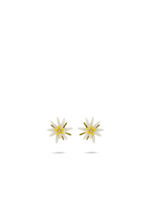 Edelweiss flower post earrings