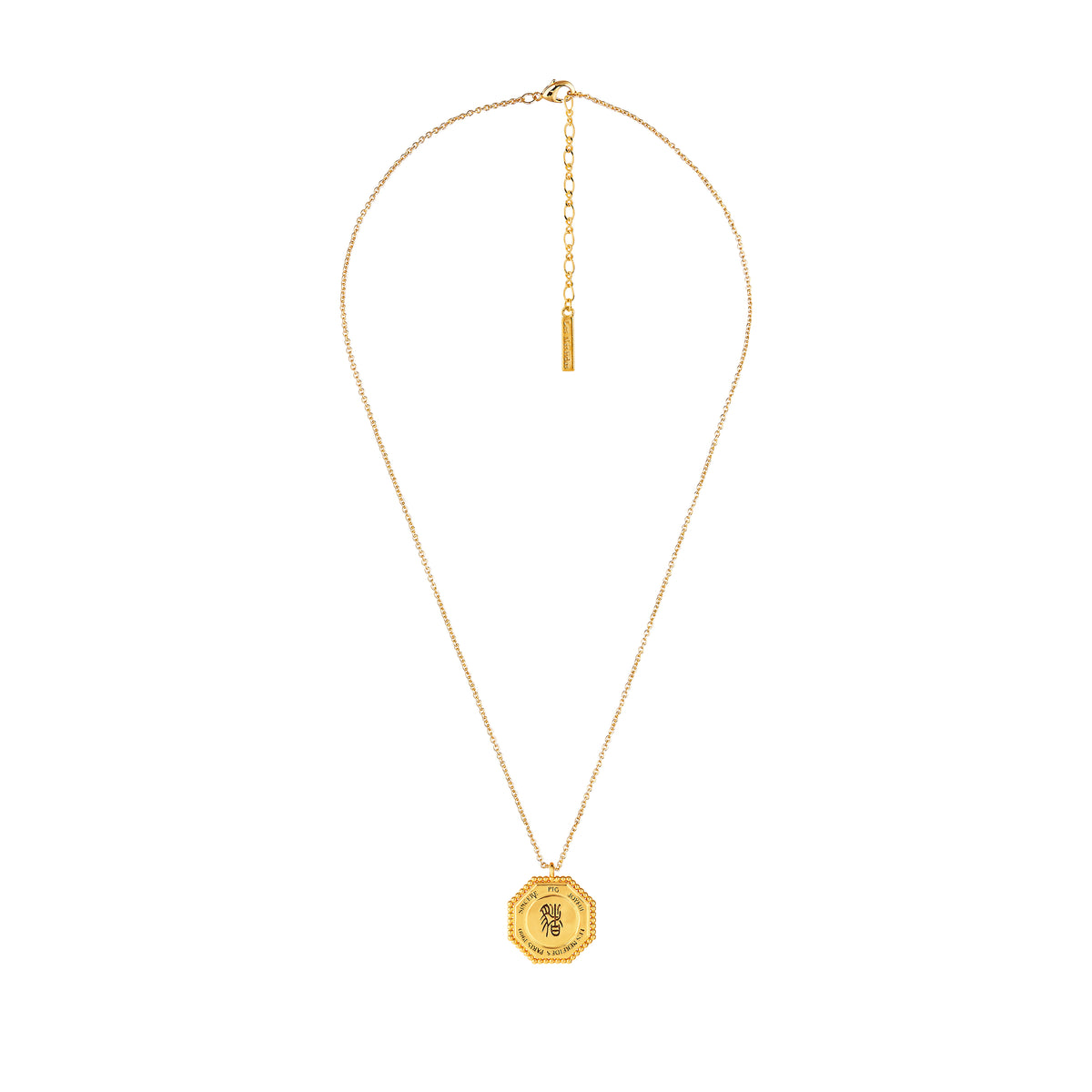 Pig zodiac sign pendant necklace