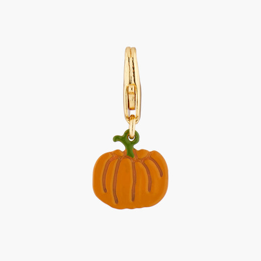 Pumpkin Charms