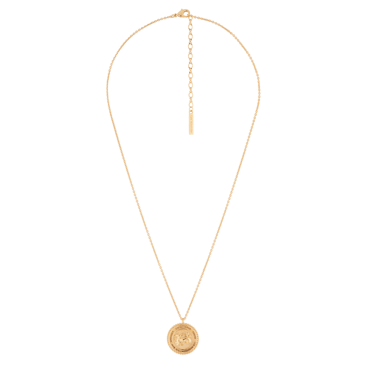Pendant Capricorn Zodiac Sign 42 + 5 cm Necklace CONSTELLATION